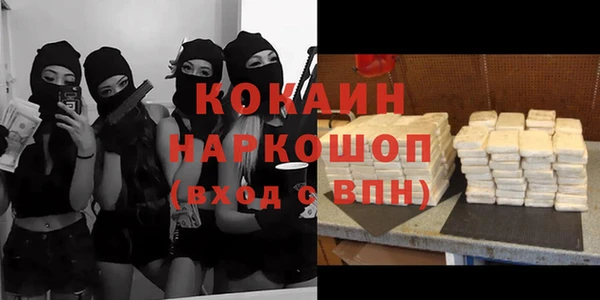 гидра Абаза
