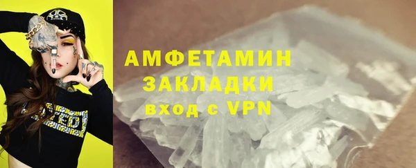гидра Абаза