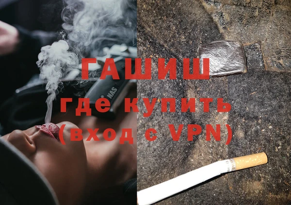 гидра Абаза