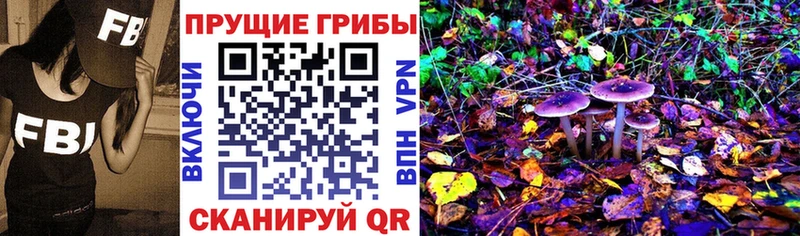 Псилоцибиновые грибы ЛСД  площадка формула  Зерноград 